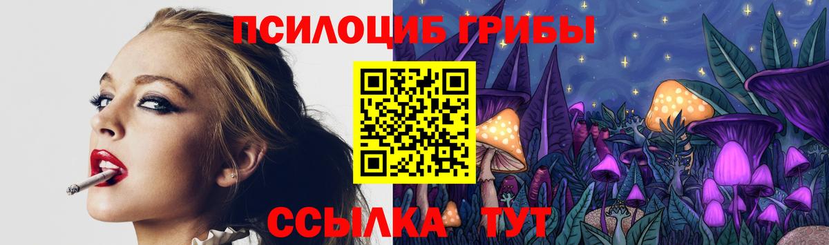 Рубцовск  Псилоцибиновые грибы мухоморы  купить наркоту  Вход с VPN 